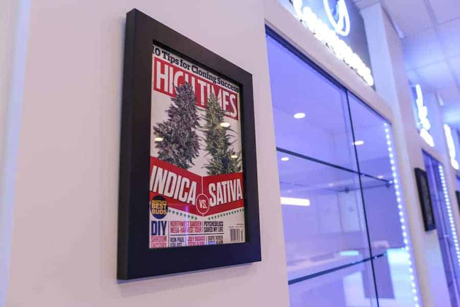 High-Time-Magazine-Cannabis-