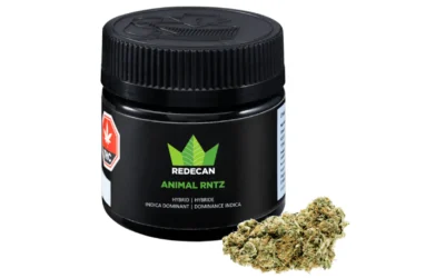 Discovering Animal Rntz by Redecan: A Unique Cannabis Experience