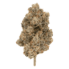 Pipe Dream (Dried Flower) by Broken Coast