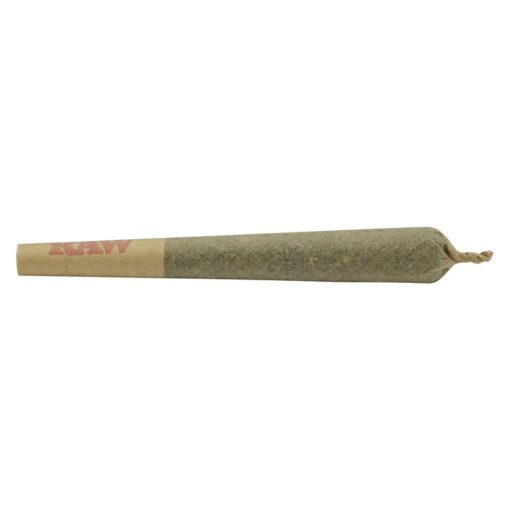 Blueberry Muffin Infused Pre-Rolls (Concentrates) by Common Ground
