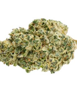 Baked Animal (Dried Flower) by Pure Sunfarms