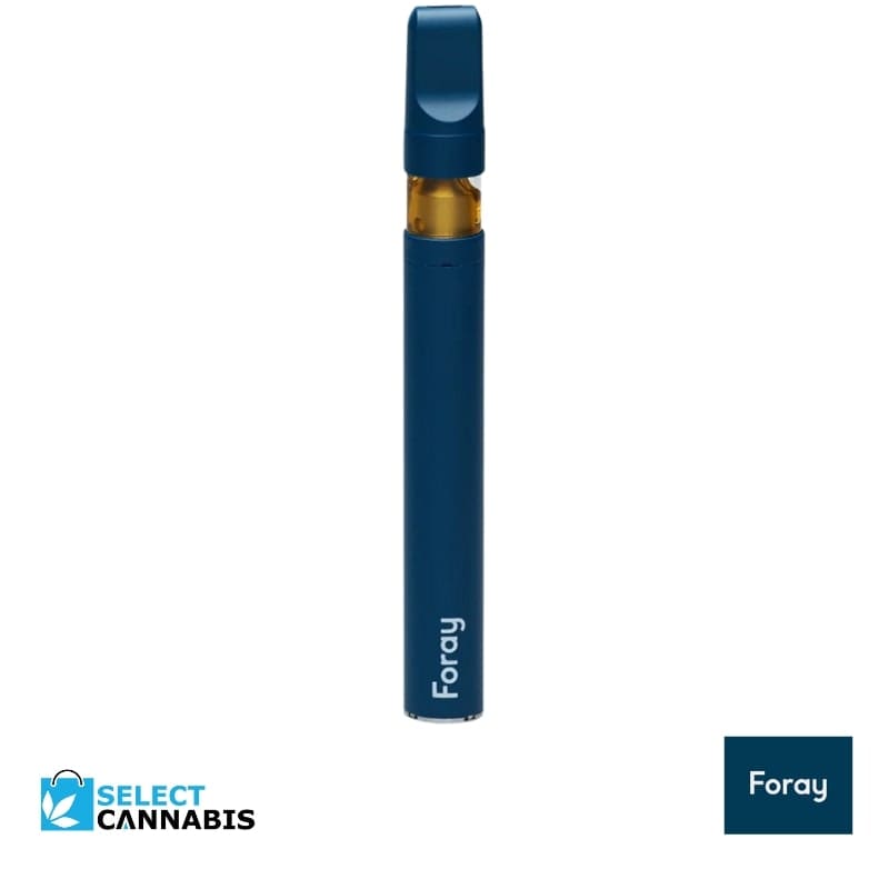 Foray | Indica Disposable Vape | 0.3g